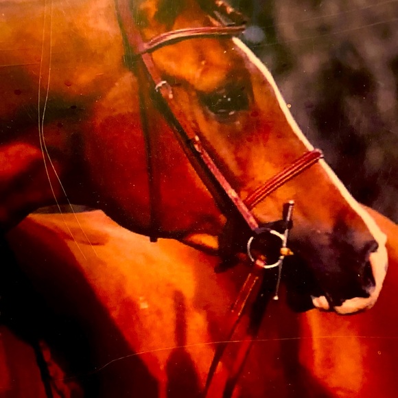 Meet your Posher, Susan - Picture 4 of 4